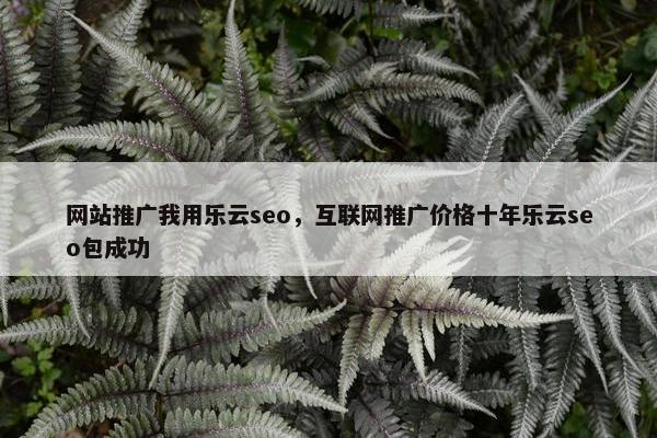网站推广我用乐云seo，互联网推广价格十年乐云seo包成功