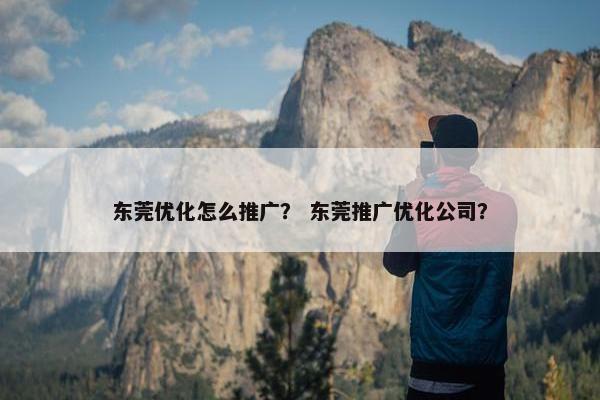 东莞优化怎么推广？ 东莞推广优化公司？