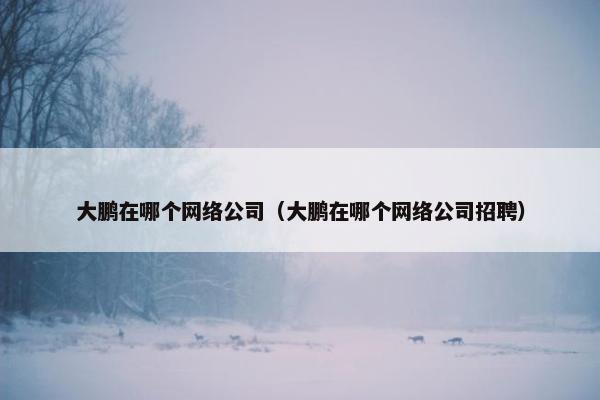 大鹏在哪个网络公司（大鹏在哪个网络公司招聘）