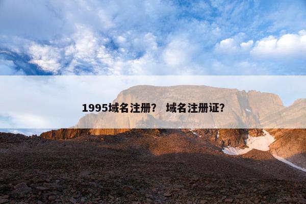 1995域名注册？ 域名注册证？