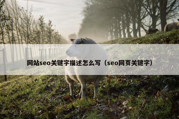 网站seo关键字描述怎么写（seo网页关键字）