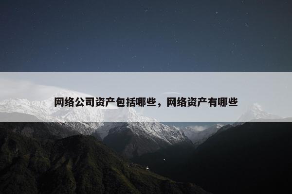 网络公司资产包括哪些，网络资产有哪些