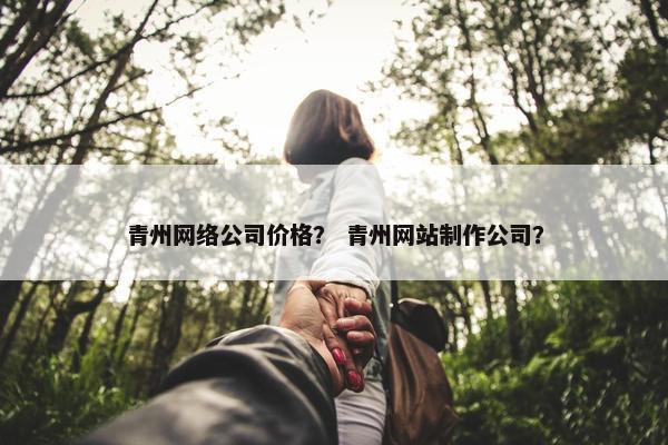 青州网络公司价格？ 青州网站制作公司？