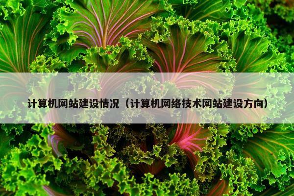 计算机网站建设情况（计算机网络技术网站建设方向）