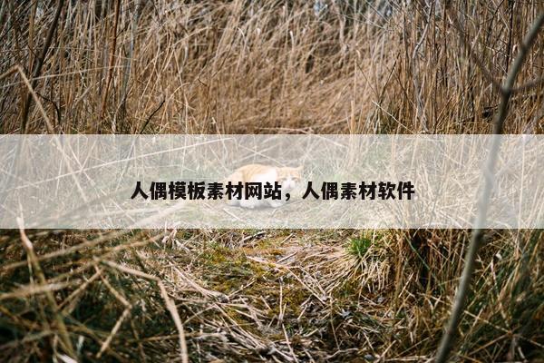 人偶模板素材网站，人偶素材软件