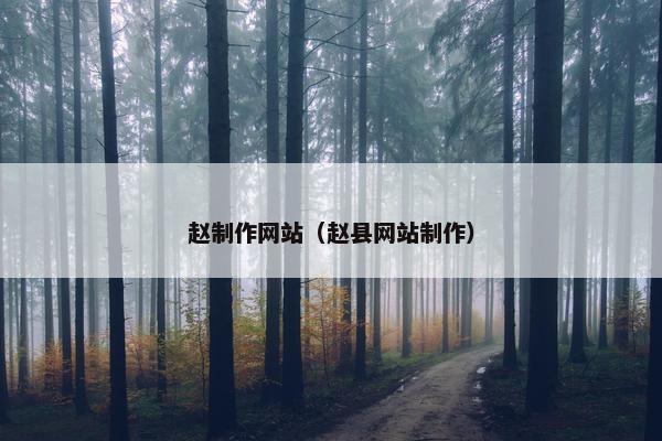 赵制作网站（赵县网站制作）