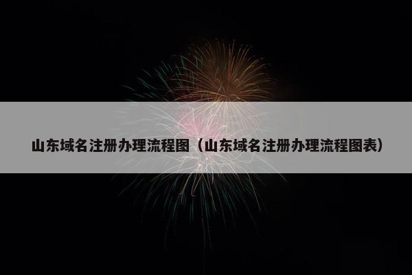 山东域名注册办理流程图（山东域名注册办理流程图表）