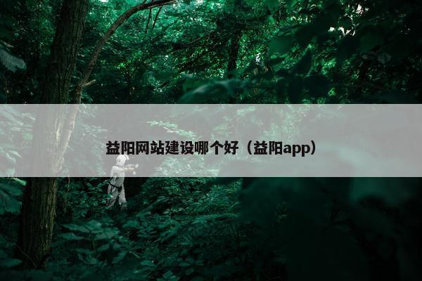 益阳网站建设哪个好（益阳app）