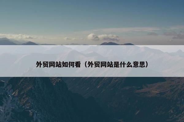 外贸网站如何看（外贸网站是什么意思）