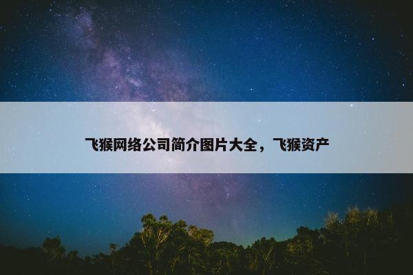 飞猴网络公司简介图片大全，飞猴资产