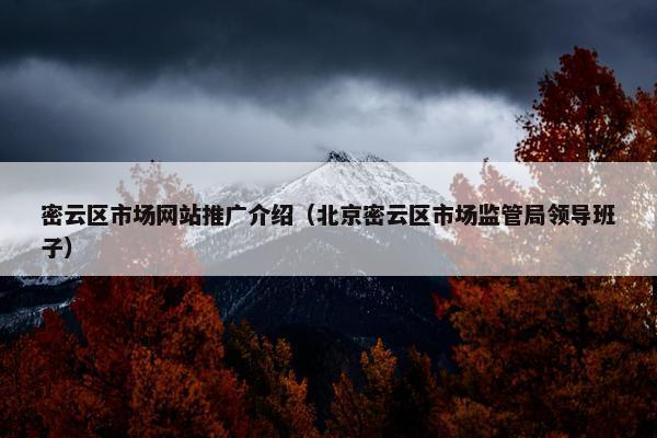 密云区市场网站推广介绍（北京密云区市场监管局领导班子）