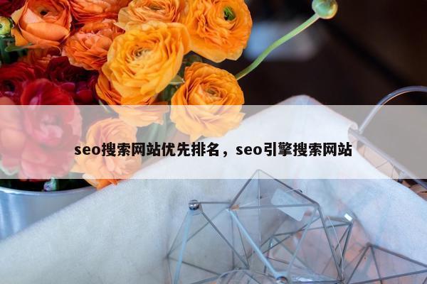 seo搜索网站优先排名，seo引擎搜索网站