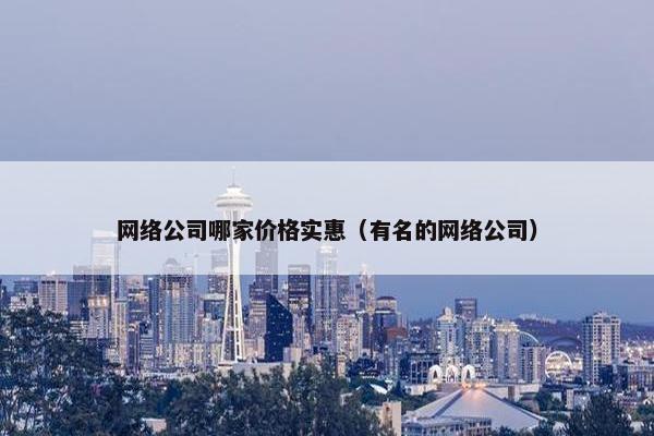 网络公司哪家价格实惠（有名的网络公司）