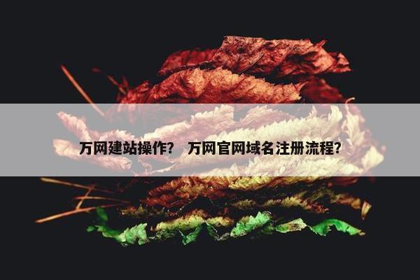 万网建站操作？ 万网官网域名注册流程？