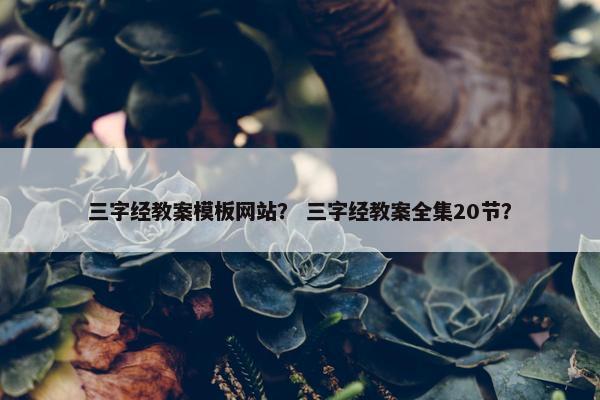 三字经教案模板网站？ 三字经教案全集20节？