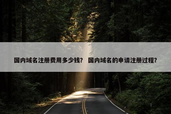 国内域名注册费用多少钱？ 国内域名的申请注册过程？