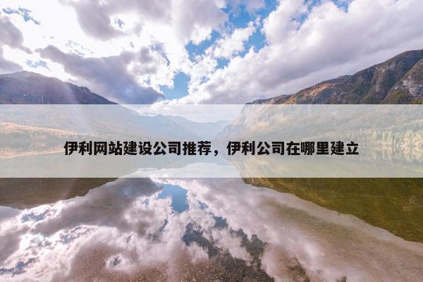 伊利网站建设公司推荐，伊利公司在哪里建立