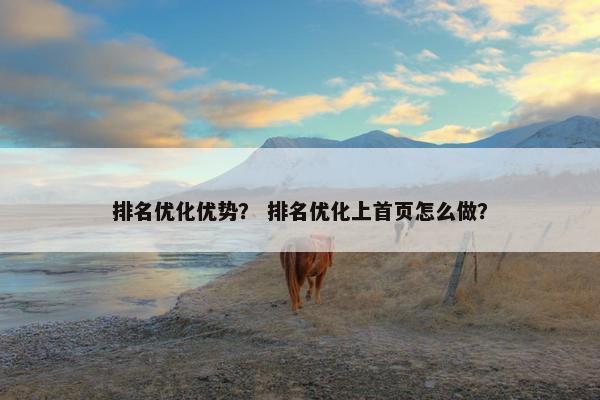 排名优化优势？ 排名优化上首页怎么做？