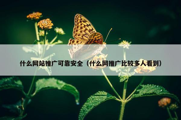 什么网站推广可靠安全（什么网推广比较多人看到）