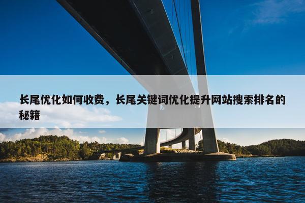 长尾优化如何收费，长尾关键词优化提升网站搜索排名的秘籍
