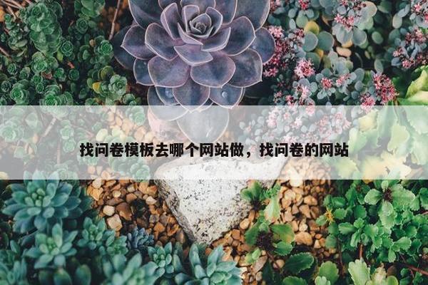 找问卷模板去哪个网站做，找问卷的网站