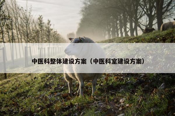 中医科整体建设方案（中医科室建设方案）