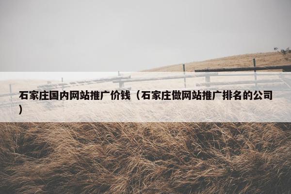 石家庄国内网站推广价钱（石家庄做网站推广排名的公司）
