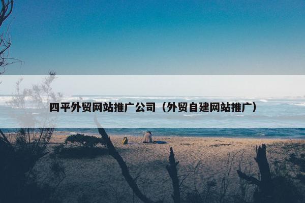 四平外贸网站推广公司（外贸自建网站推广）