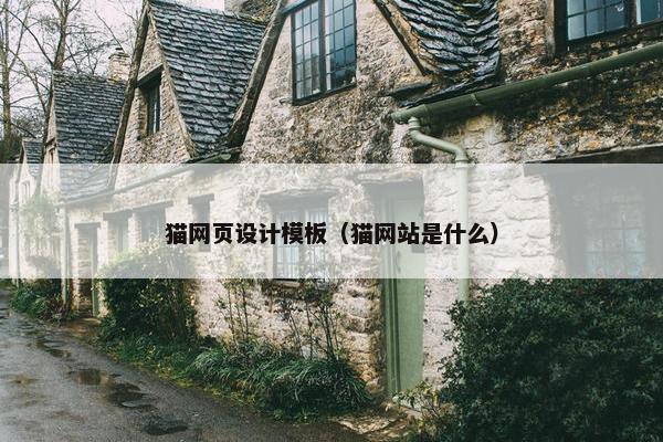 猫网页设计模板（猫网站是什么）