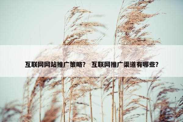 互联网网站推广策略？ 互联网推广渠道有哪些？