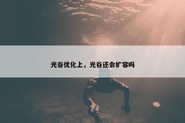 光谷优化上，光谷还会扩容吗