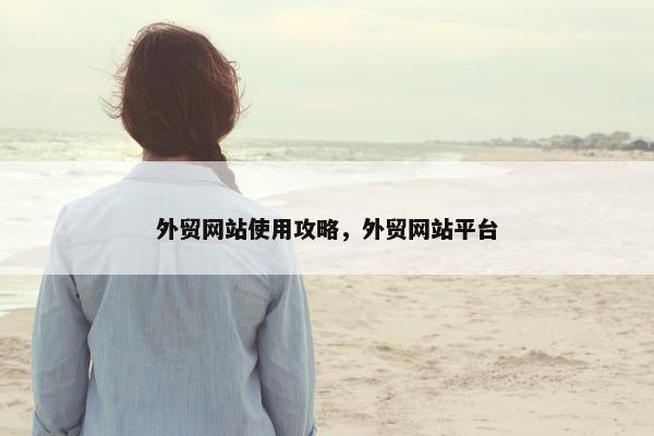 外贸网站使用攻略，外贸网站平台
