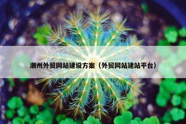 潮州外贸网站建设方案（外贸网站建站平台）