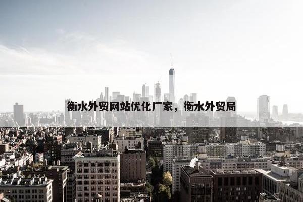 衡水外贸网站优化厂家，衡水外贸局