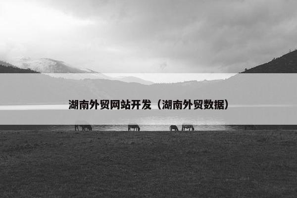 湖南外贸网站开发（湖南外贸数据）