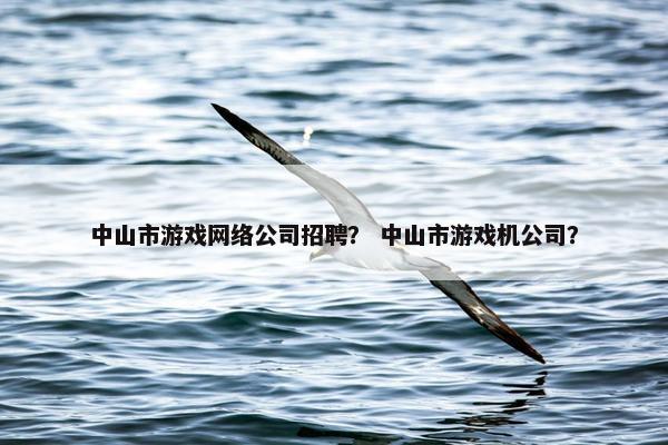 中山市游戏网络公司招聘？ 中山市游戏机公司？