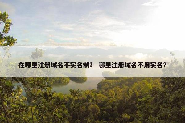 在哪里注册域名不实名制？ 哪里注册域名不用实名？