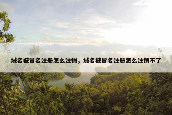 域名被冒名注册怎么注销，域名被冒名注册怎么注销不了