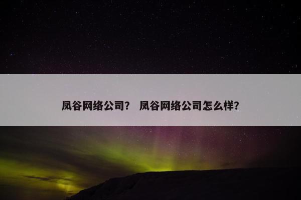 凤谷网络公司？ 凤谷网络公司怎么样？
