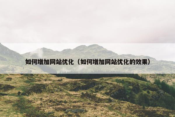 如何增加网站优化（如何增加网站优化的效果）
