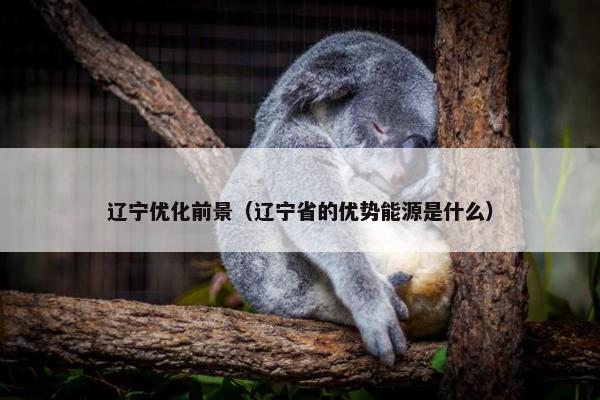 辽宁优化前景（辽宁省的优势能源是什么）