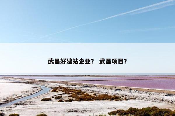 武昌好建站企业？ 武昌项目？