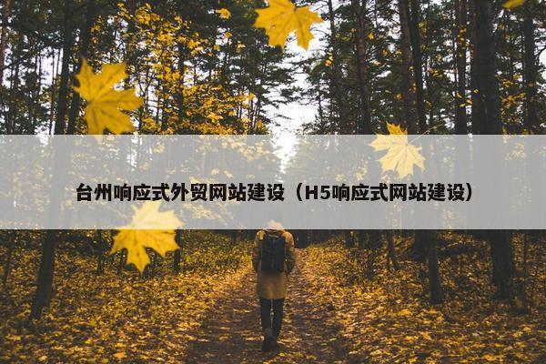 台州响应式外贸网站建设（H5响应式网站建设）