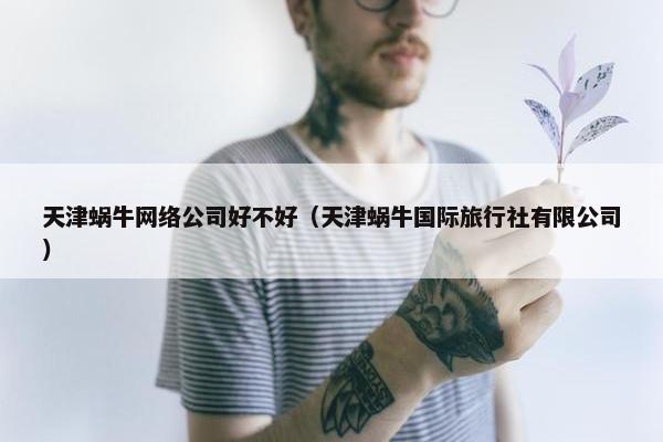 天津蜗牛网络公司好不好（天津蜗牛国际旅行社有限公司）