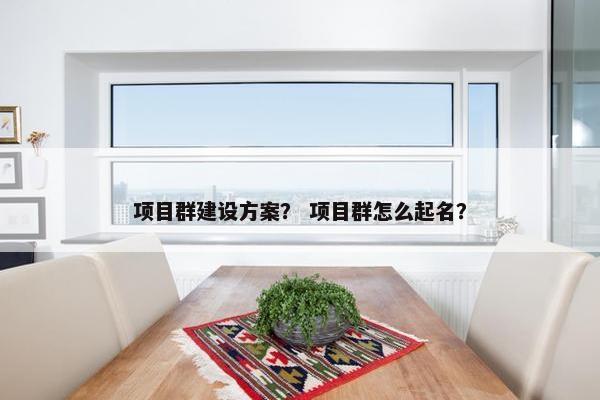 项目群建设方案？ 项目群怎么起名？