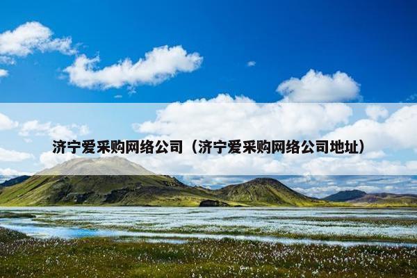济宁爱采购网络公司（济宁爱采购网络公司地址）