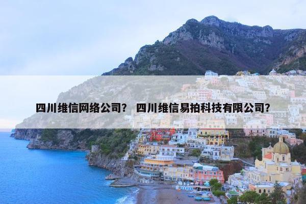 四川维信网络公司？ 四川维信易拍科技有限公司？