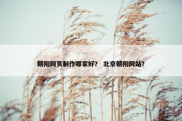 朝阳网页制作哪家好？ 北京朝阳网站？