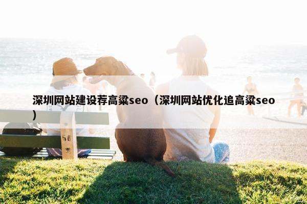 深圳网站建设荐高粱seo（深圳网站优化追高粱seo）