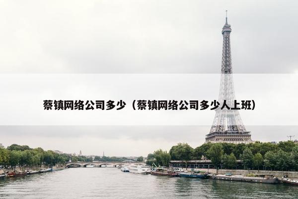 蔡镇网络公司多少（蔡镇网络公司多少人上班）